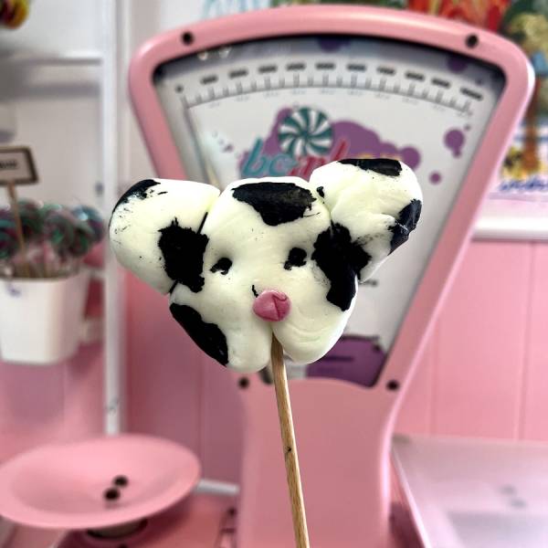 Lizak Krowa Biały Czarny