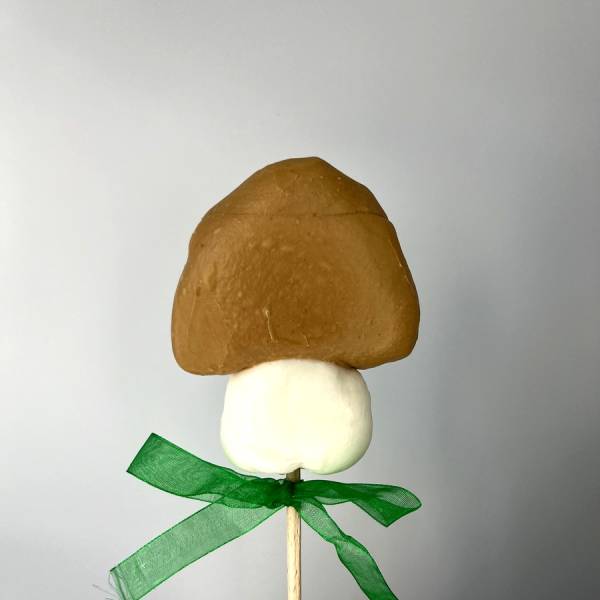 Lizak Grzybek Brązowy Biały