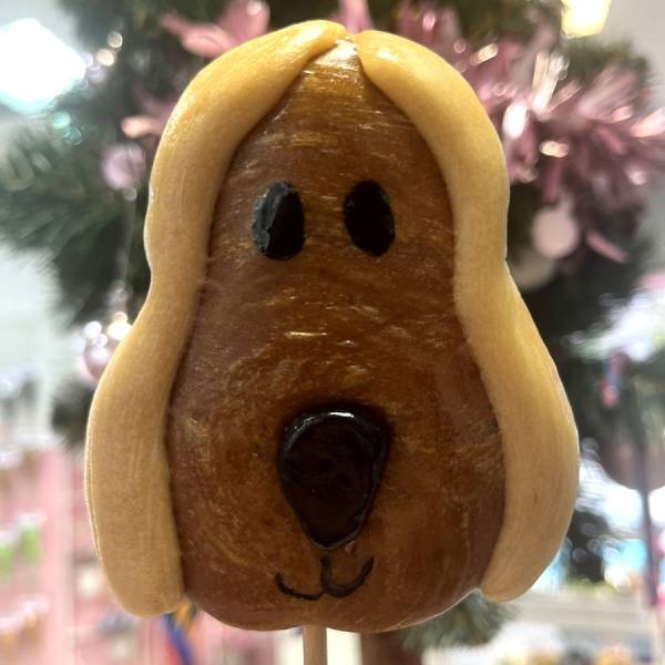 Lizak Pies Karmelowy Beżowy